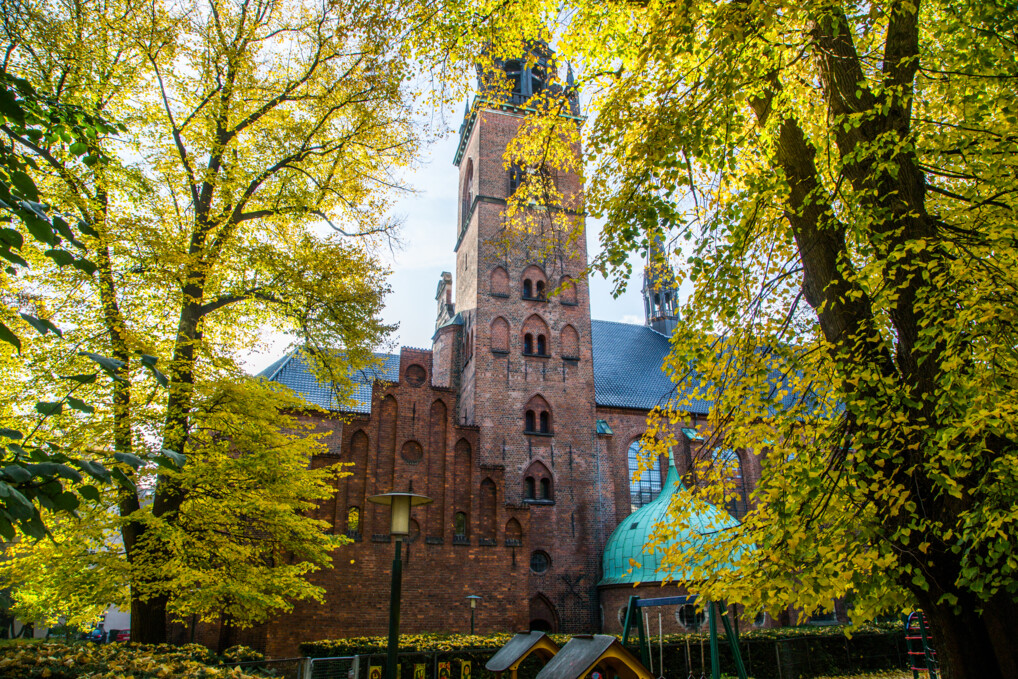 Kirke med højt tårn omgivet af grønne træer