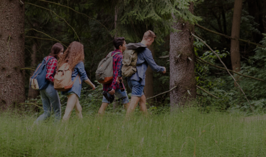 Fire mennesker vandrer i naturen med rygsække og korte bukser